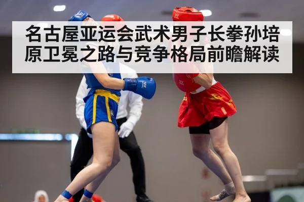 wushu martial arts performance